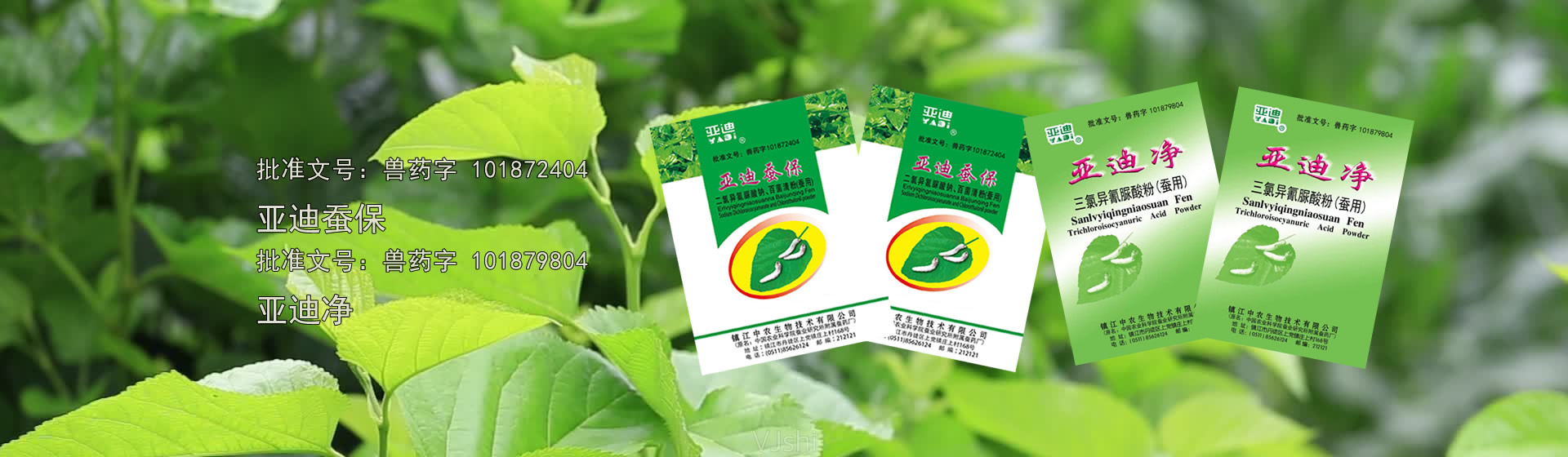 太昌-專業(yè)制冷團(tuán)隊(duì)